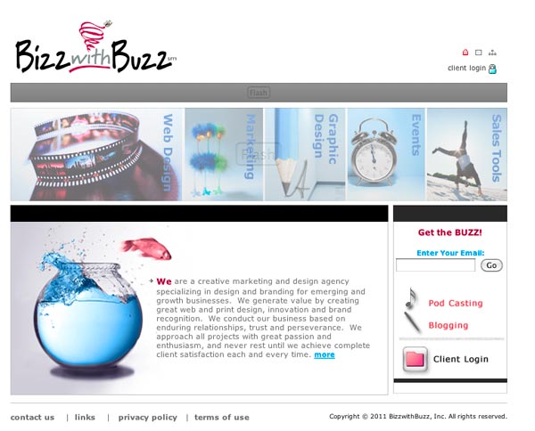 Bizz-with-Buzz